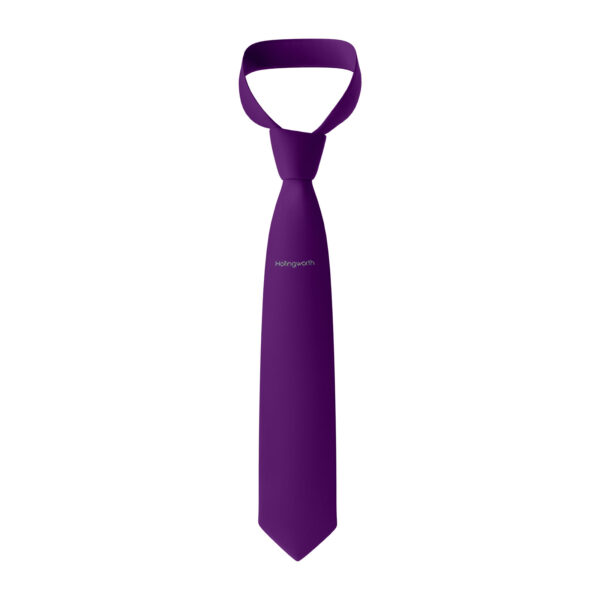 HollingworthAcademyTie