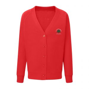 St Bartholomews Cardigan