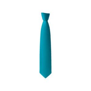 Heywood Academy Tie