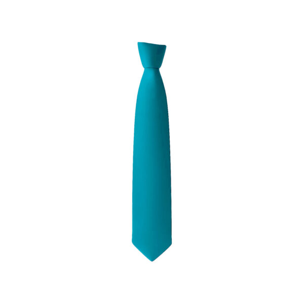 HeywoodAcademyTieClip