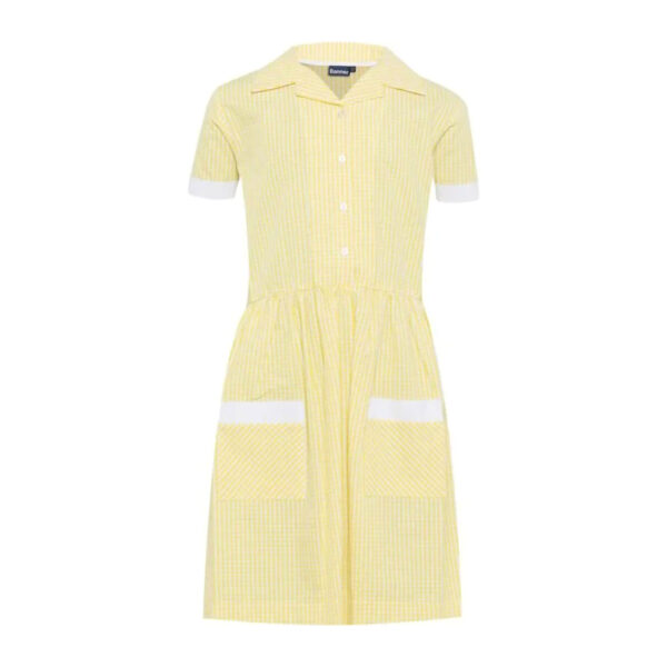 BamfordAcademySummerDress
